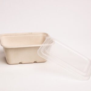 Biodegradable Rectangular 1000ml - Image 1