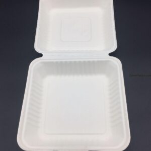 Bio Degradable Container 10" - Image 1