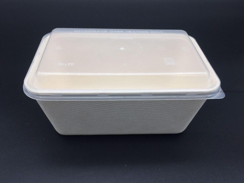 BIO-DEGRADABLE-CONTAINE-1000CC.jpg