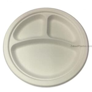 Bio Degradable Plate 10" Section - Image 1