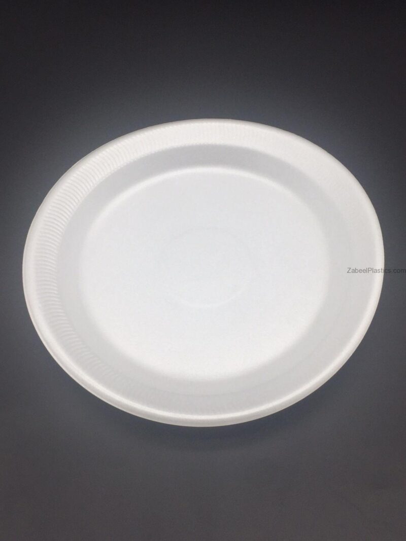 FOAM-PLATE-10-1.jpg