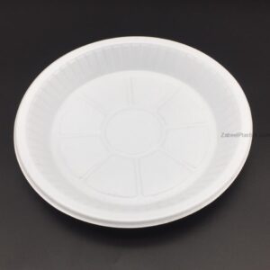 Plastic Plate 10" - Image 1