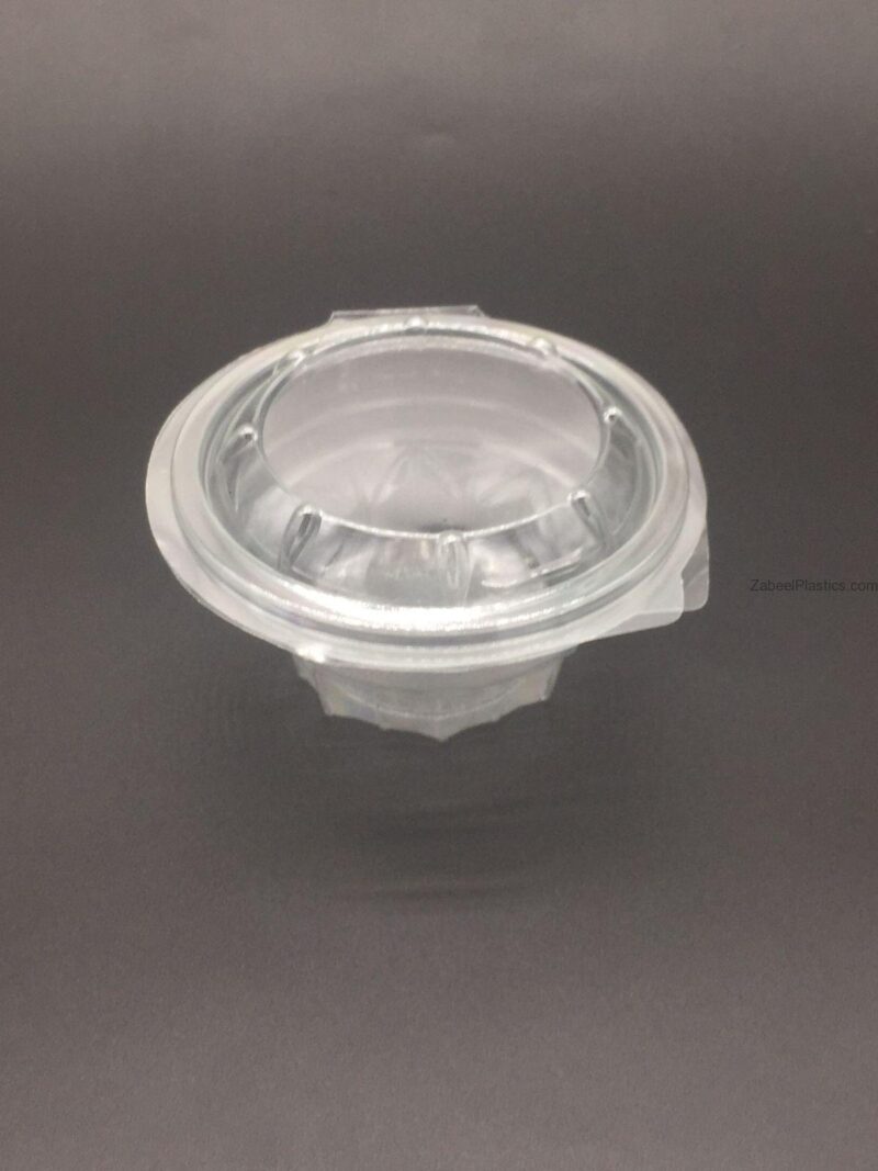 V600-250ML.jpg