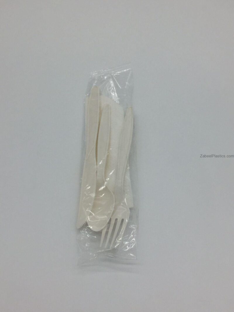 bio-degradable-cutlery.jpg