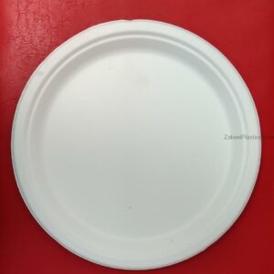 Bio Degradable Plate 9" - Image 1